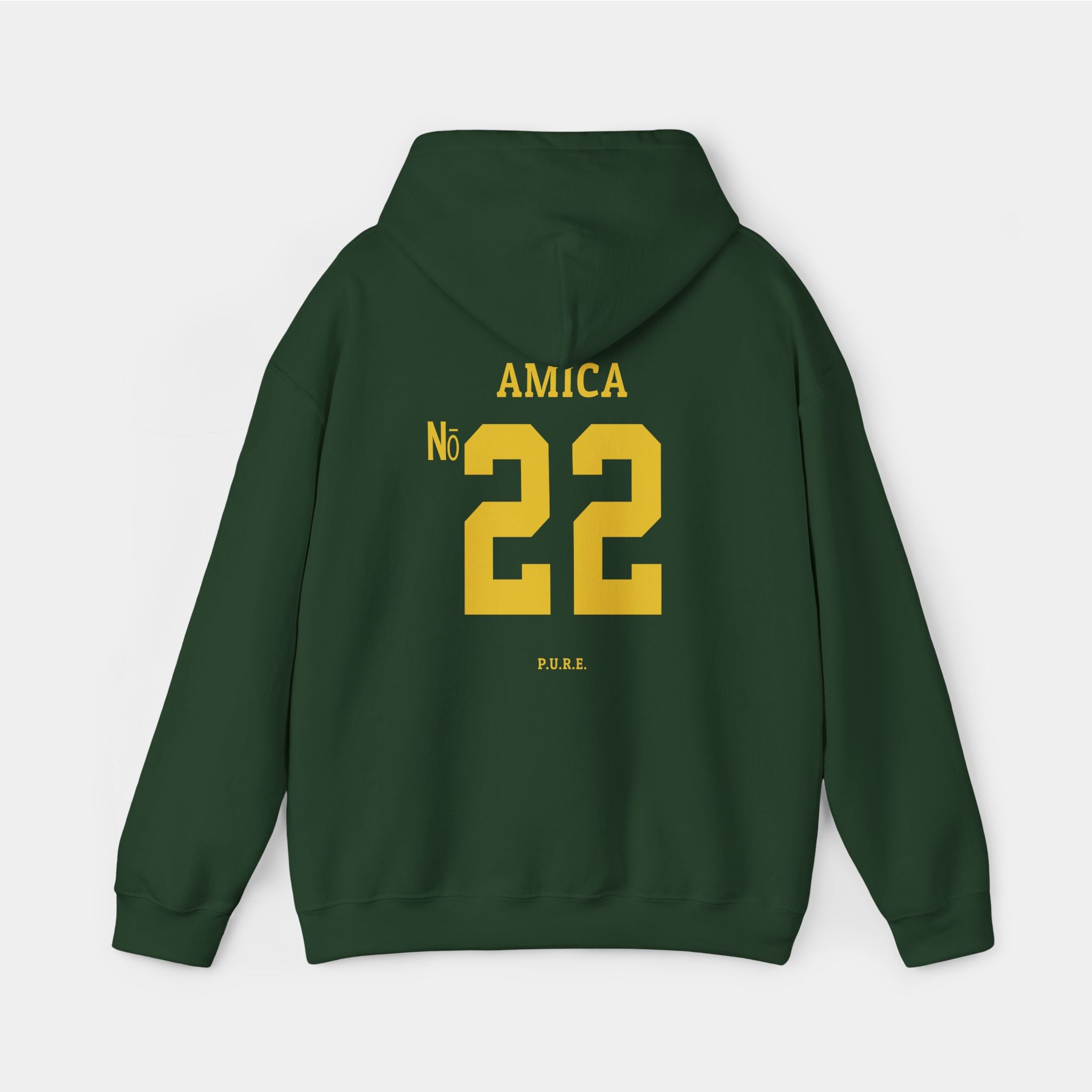 Will Amica #22 Hoodie